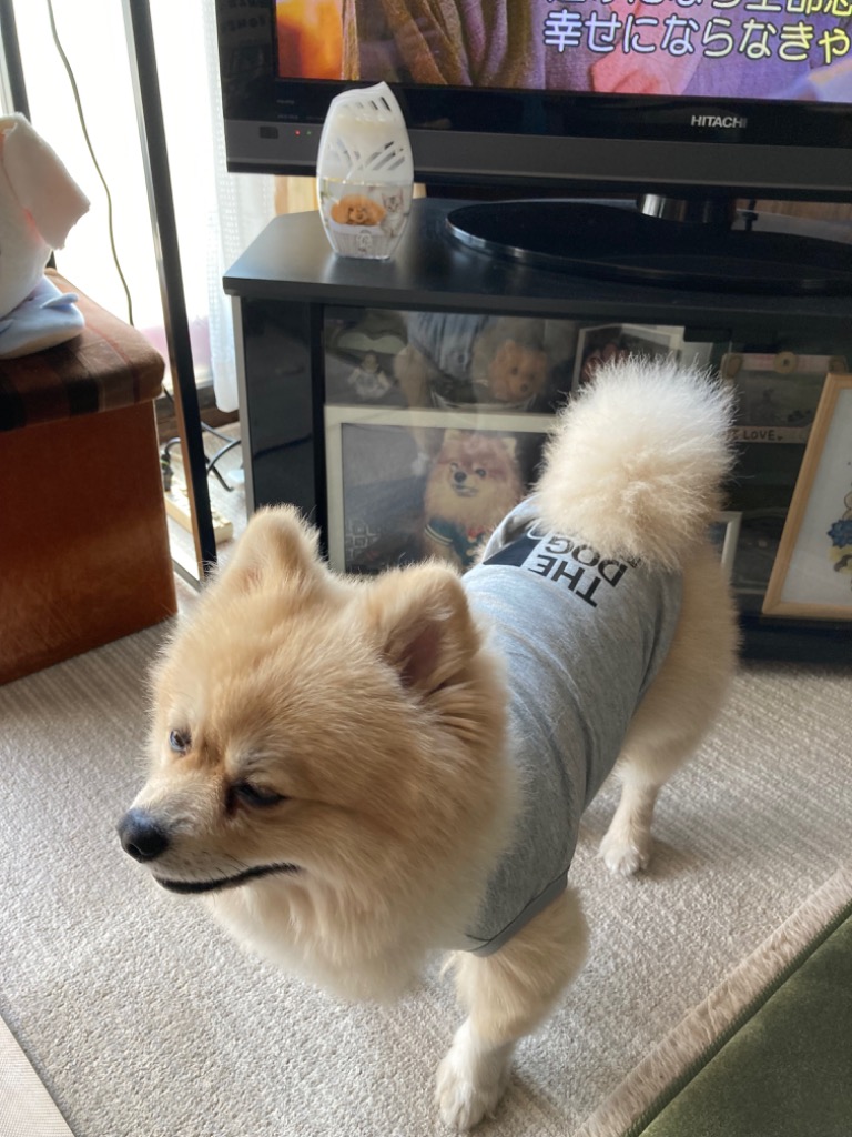 レビュー画像
