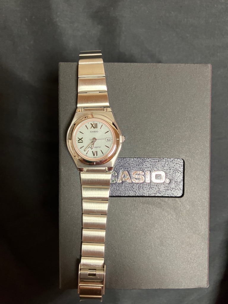 WAVE（CASIO） 【ゆうパケットプラスで送料無料】CASIO・カシオ