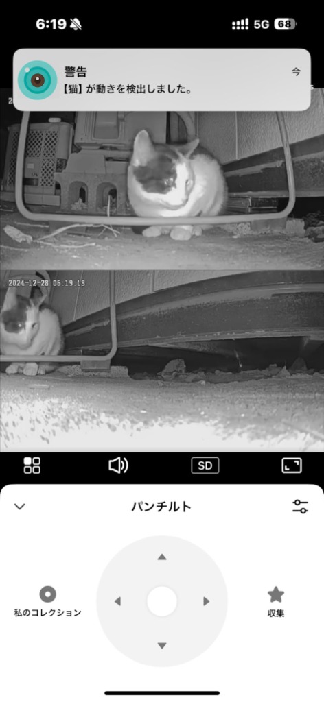 レビュー画像
