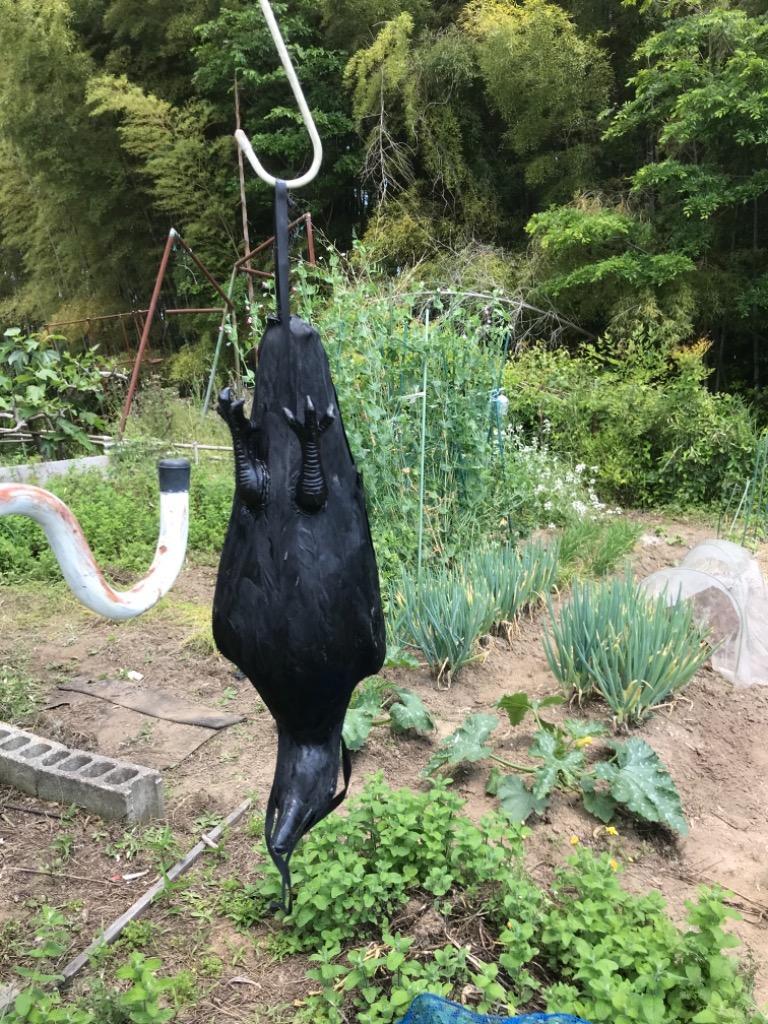 1件目のレビュー画像 | 0