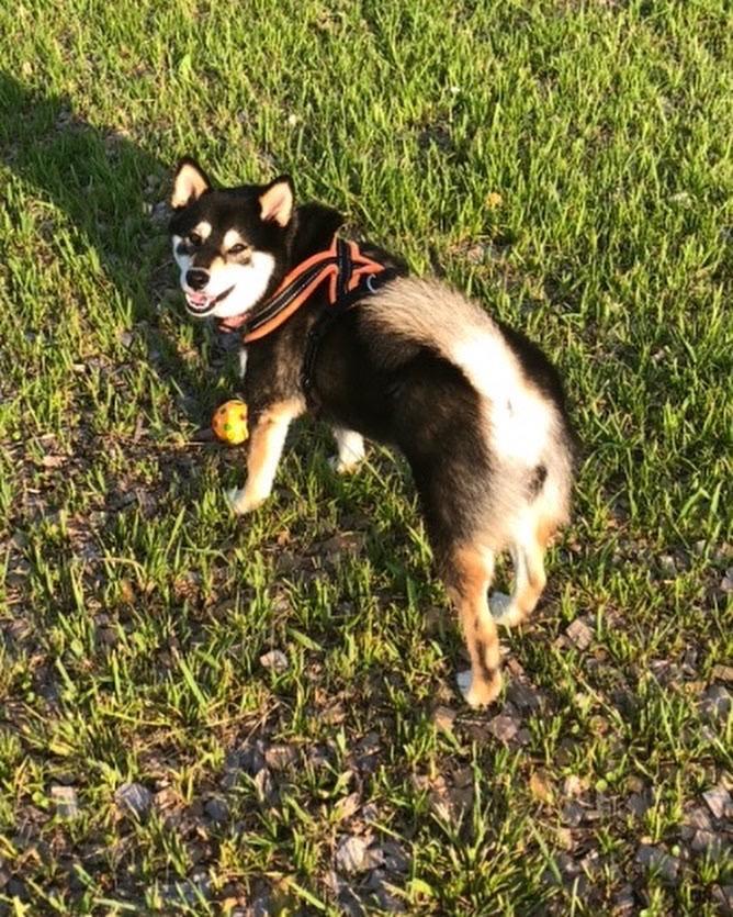 1件目のレビュー画像 | 2