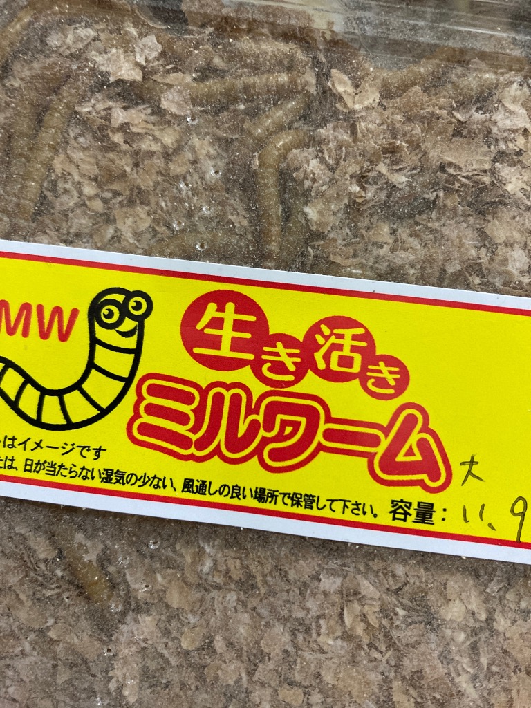 全体のレビュー画像 | 0-0