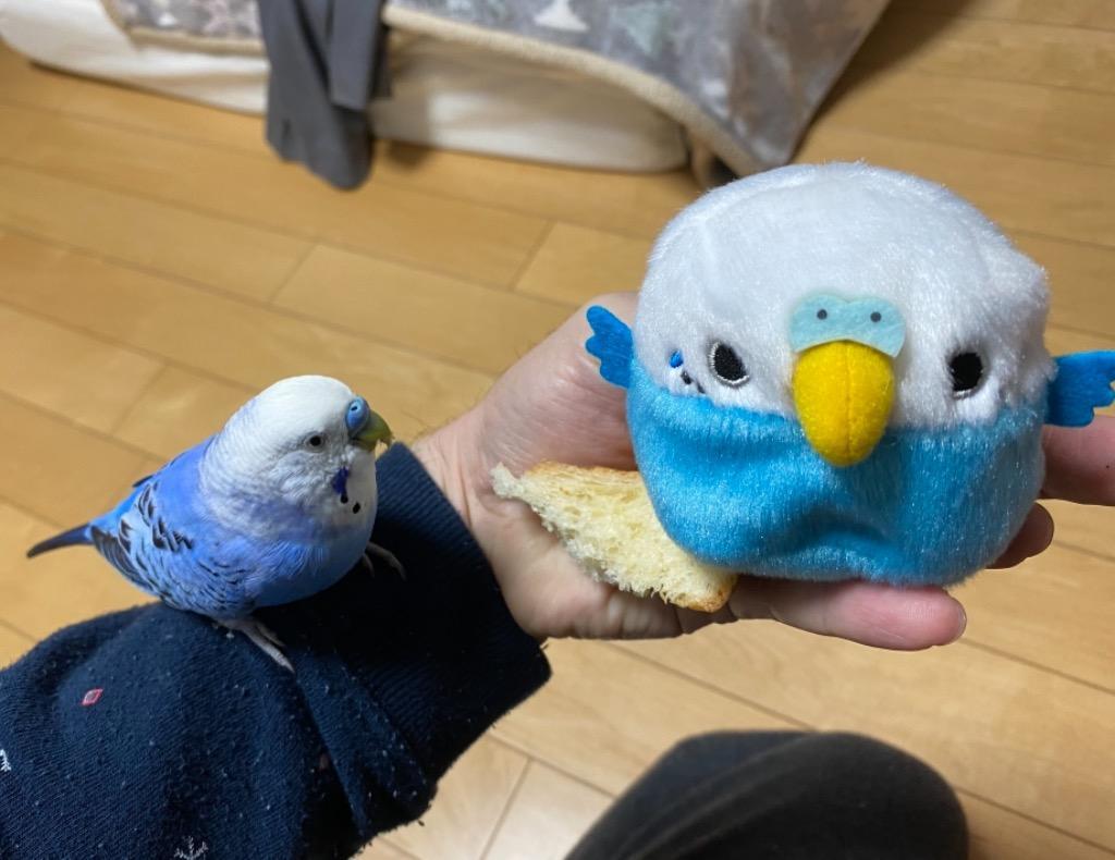 10%offクーポン][超目玉]とりだんご セキセイインコ・あお ぬいぐるみ 小鳥 高さ7cm :4905330092106:ほびすと - 通販 -  Yahoo!ショッピング