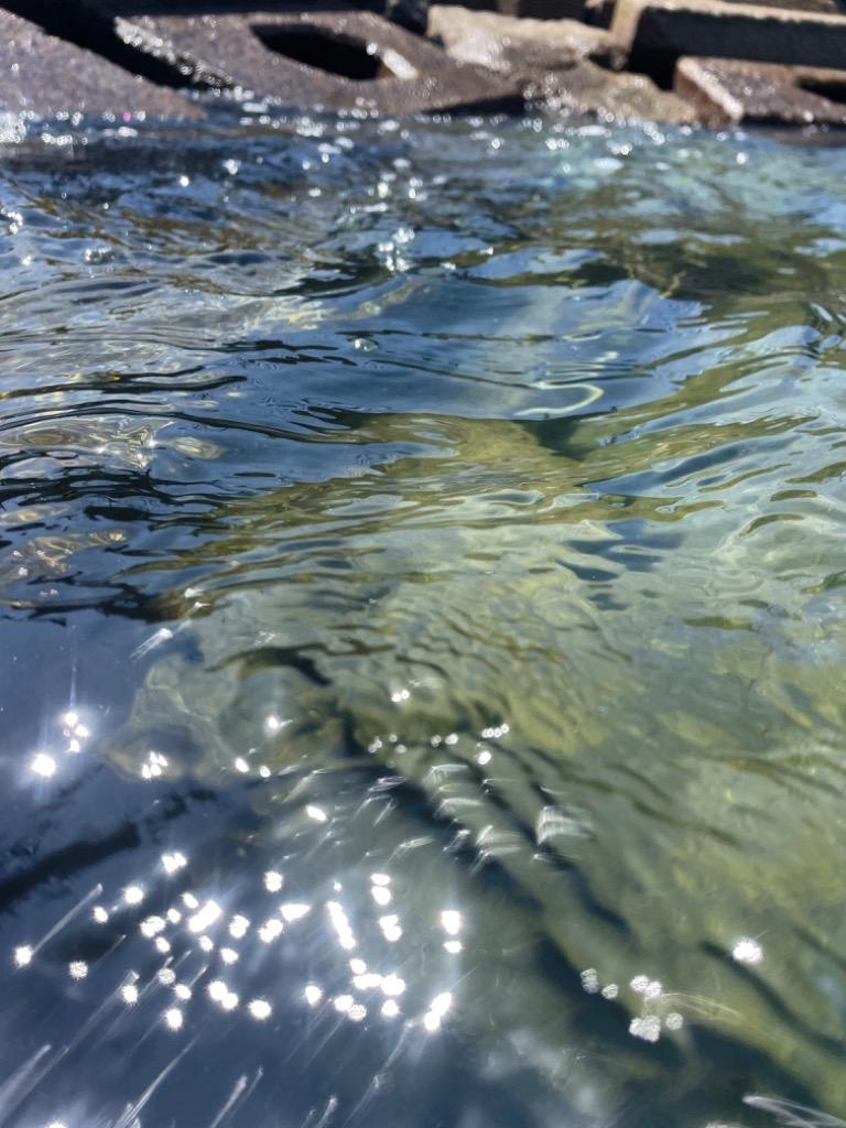 全体のレビュー画像 | 0-0