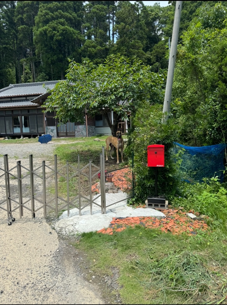 2件目のレビュー画像 | 1