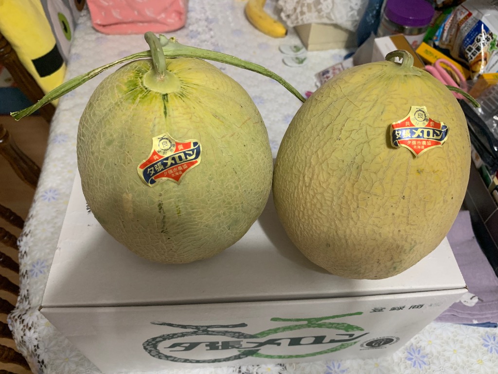 全体のレビュー画像 | 0-0