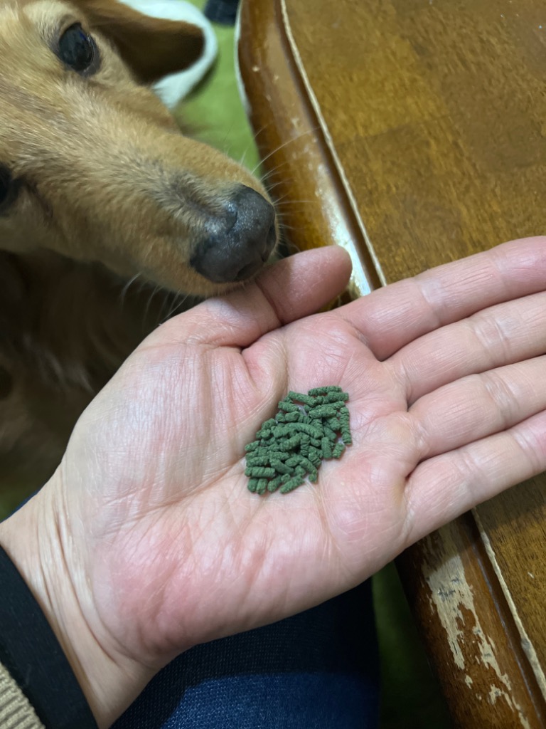 玄米胚芽表皮発酵 玄米酵素 ゲンキワン 300g 【愛犬サプリメント