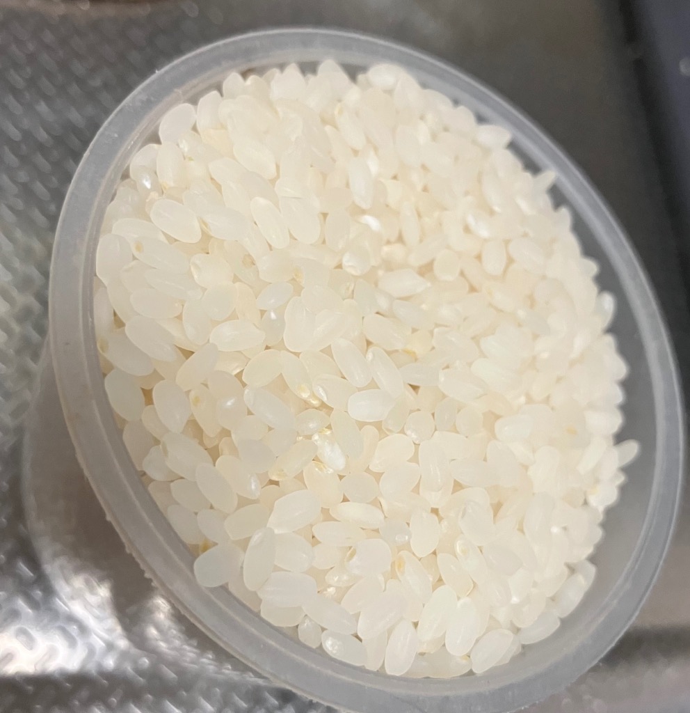 ミルキークイーン 北海道産 おぼろづき 5kg お米 令和6年産 送料