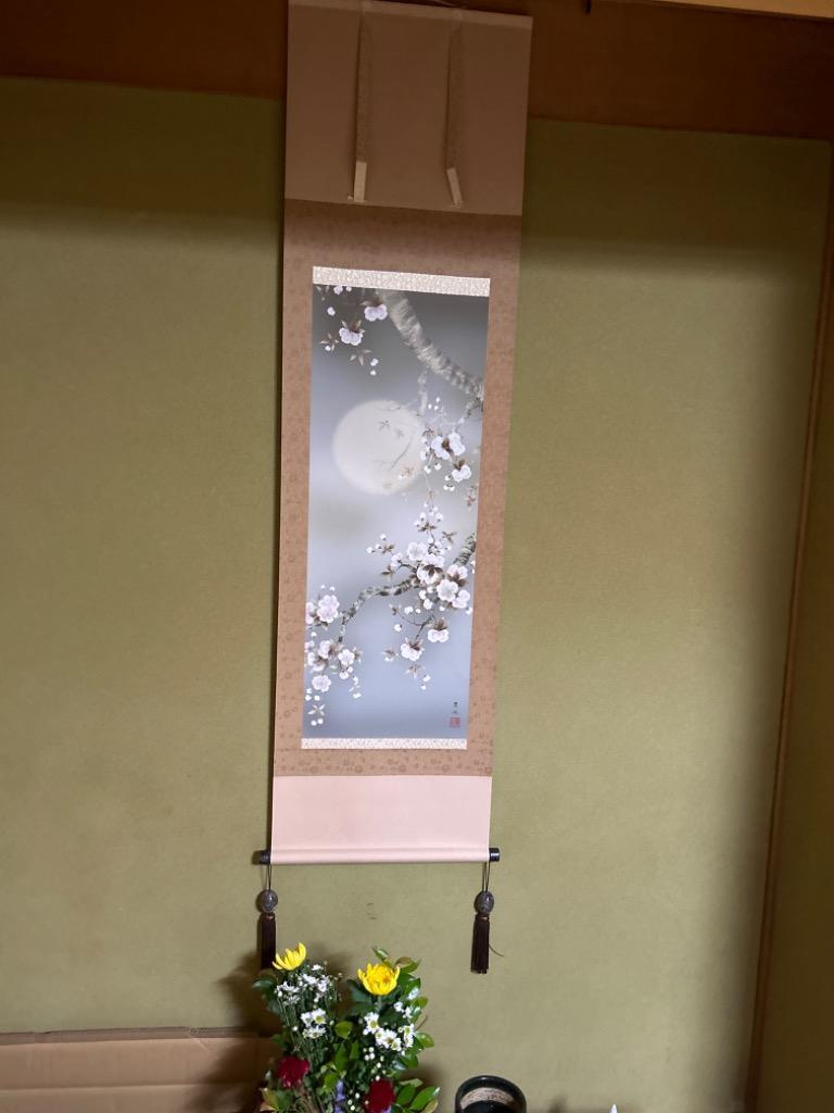 掛軸 春掛 掛け軸-夜桜/緒方葉水(尺三)床の間 和室 モダン オシャレ