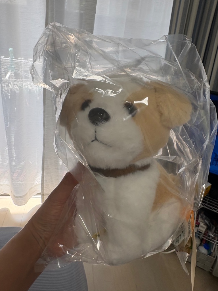 お座りDOG シーズー ぬいぐるみ 犬 オレンジ : HONDA STORE - 通販