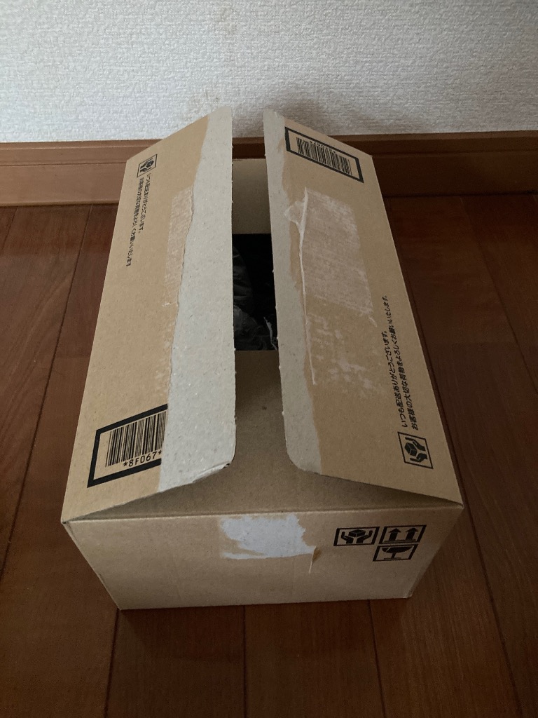 レビュー画像