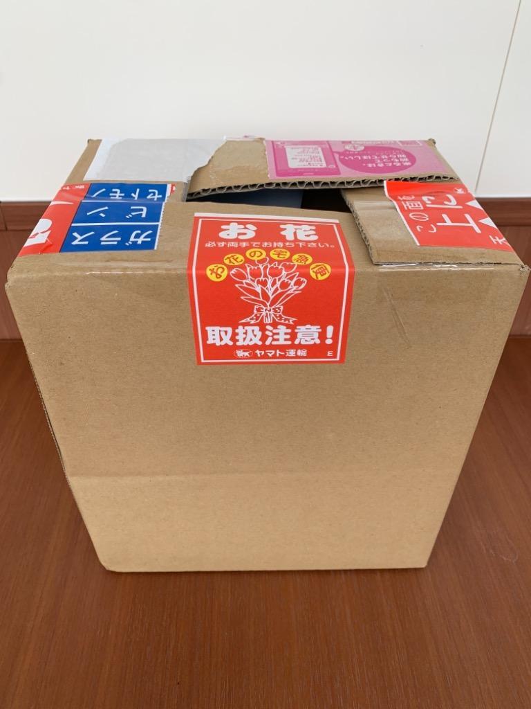 1件目のレビュー画像 | 0