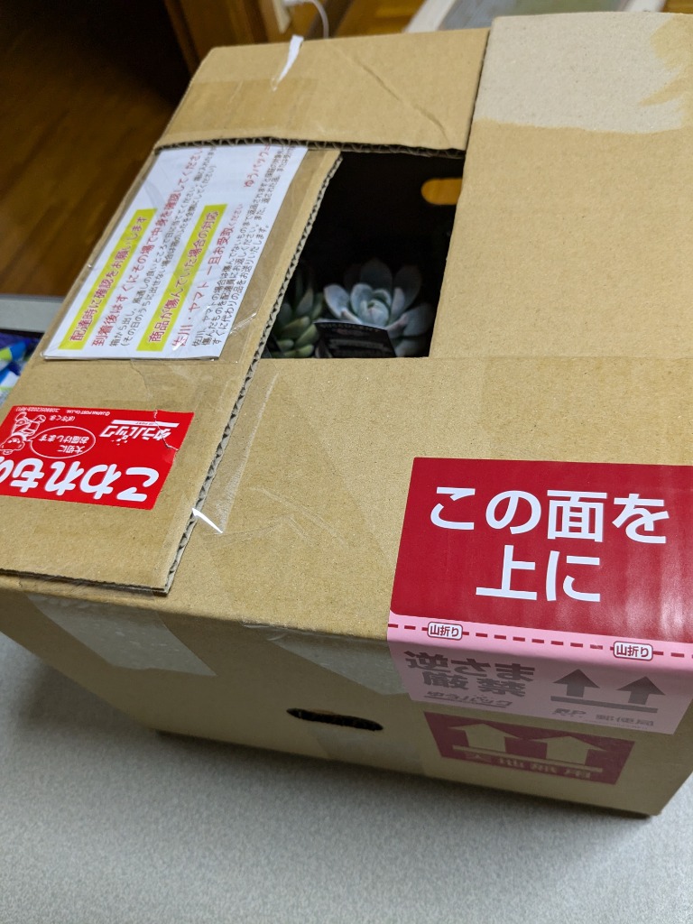 全体のレビュー画像 | 4-0