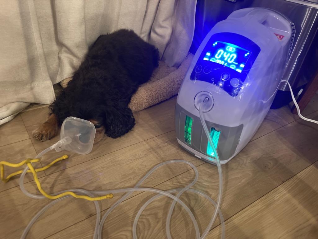 高性能酸素濃縮器 MAF mini 1.5 168時間以上連続稼働可 酸素発生器 犬 