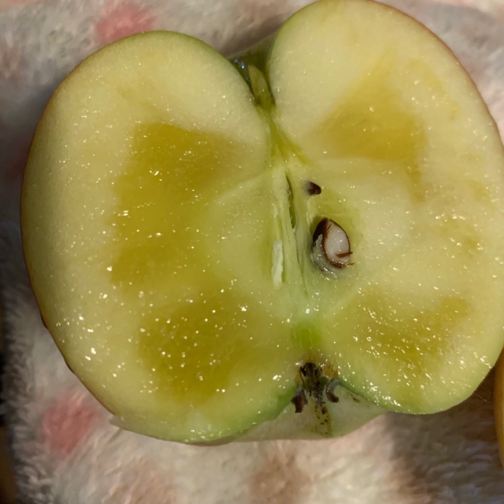 予約】青森県産 りんご こみつりんご コミツリンゴ 林檎 高徳 蜜入り