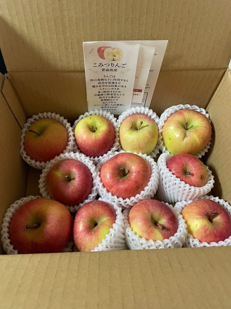 予約】青森県産 りんご こみつりんご コミツリンゴ 林檎 高徳 蜜入り