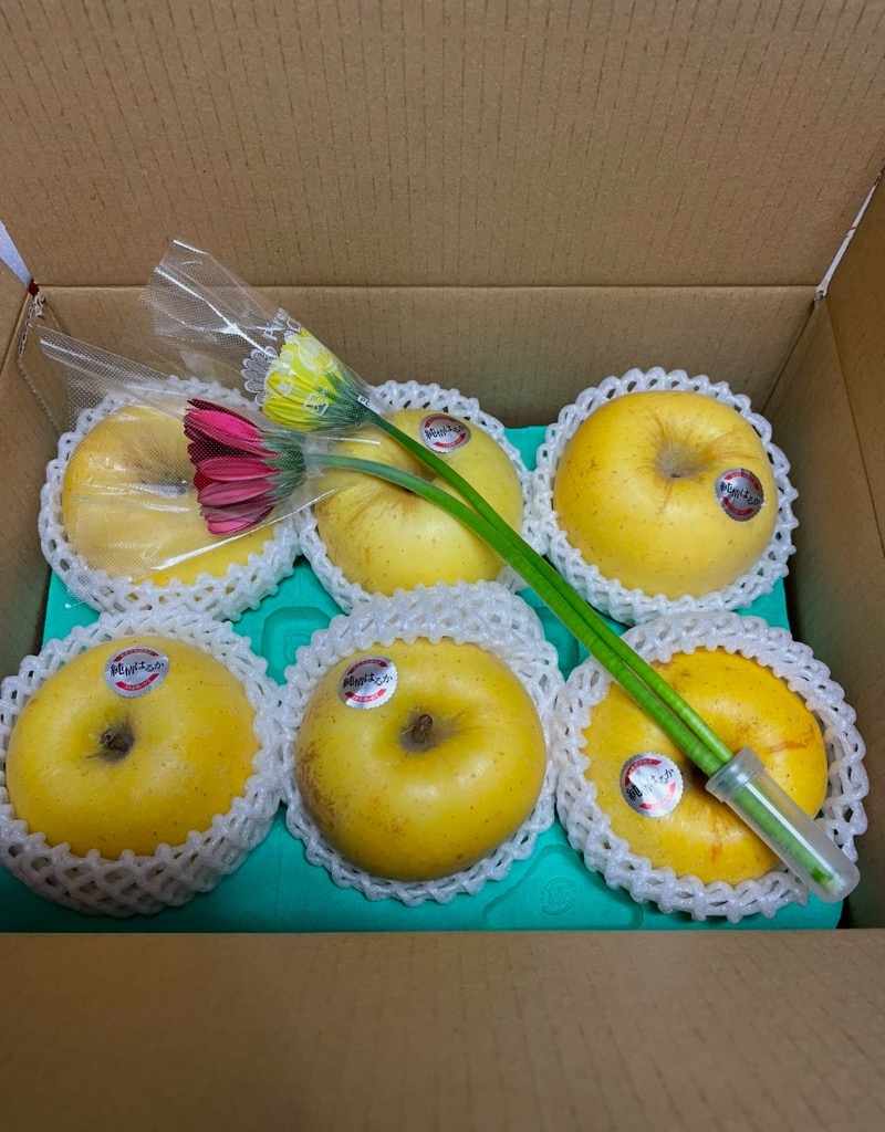 今は春明21!】 青森県産 小玉りんご 春明 21 しゅんめい