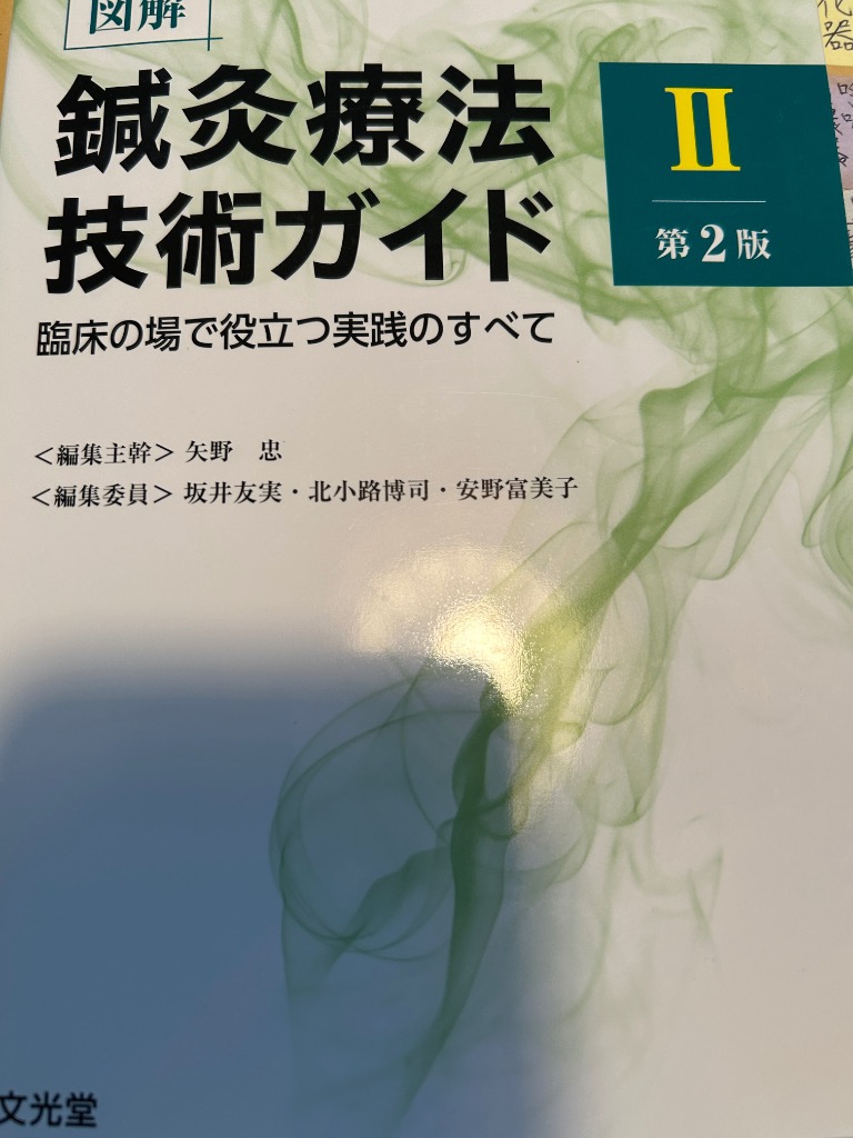 図解鍼灸療法技術ガイド 臨床の場で役立つ実践のすべて 2 （第