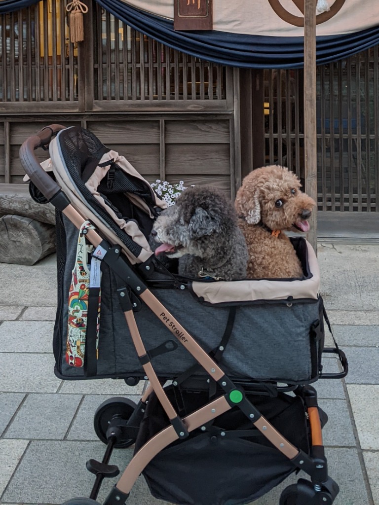 Totoro ball ペットカート 犬 バギー 4輪 犬用カート 小型犬 中型犬 猫 多頭 ペットキャリーカート ワンタッチ折り畳み コンパクト收?  - 最安値・価格比較 - Yahoo!ショッピング｜口コミ・評判からも探せる