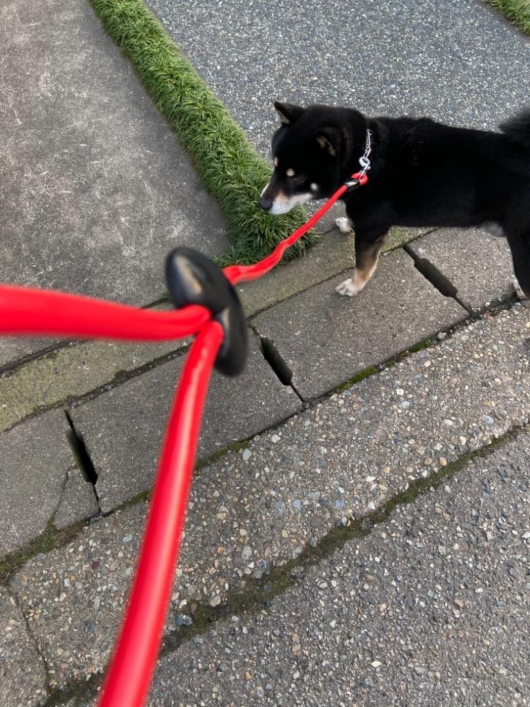 1件目のレビュー画像 | 0