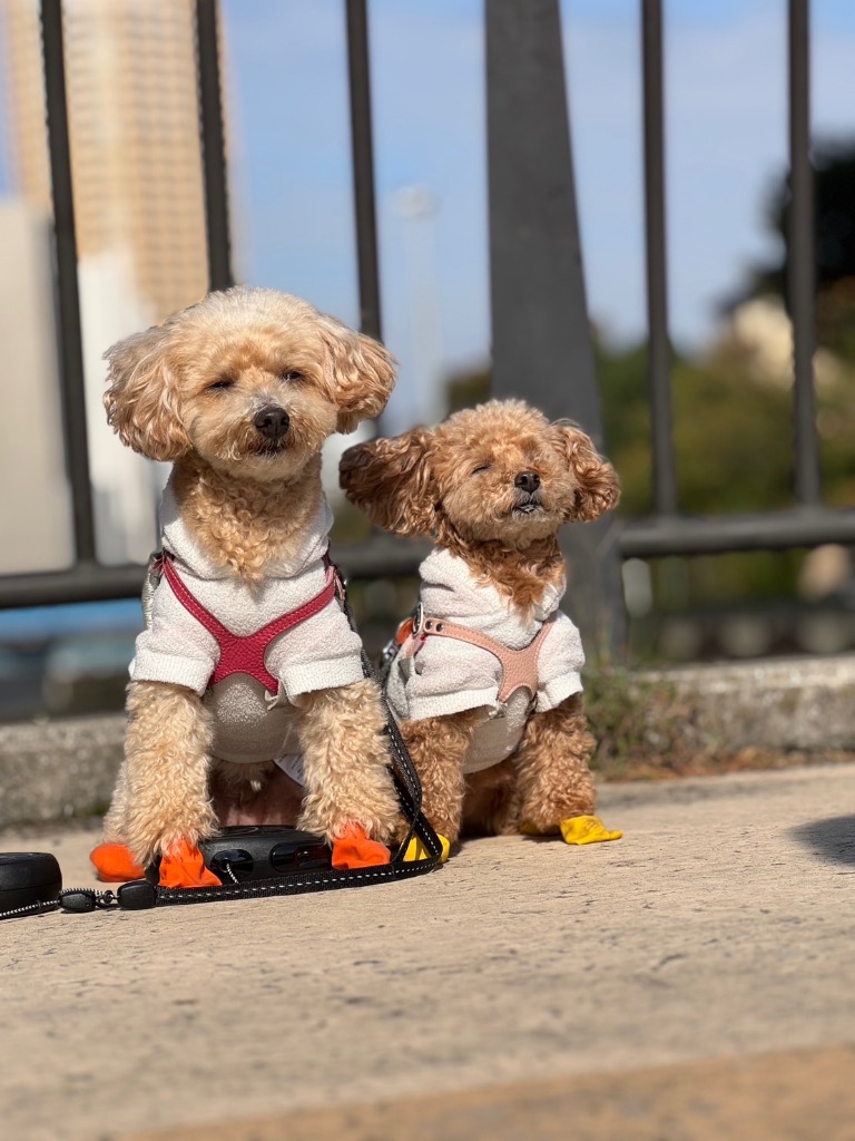 2件目のレビュー画像 | 0