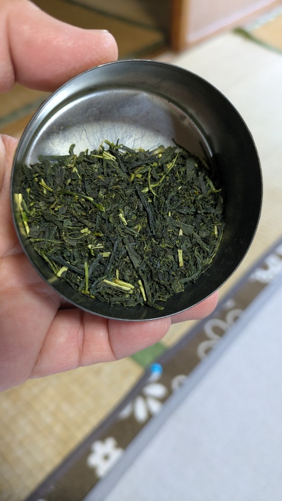 2025年産 緑茶深蒸し茶100g 5本 令和7年産（1番茶新芽農薬を