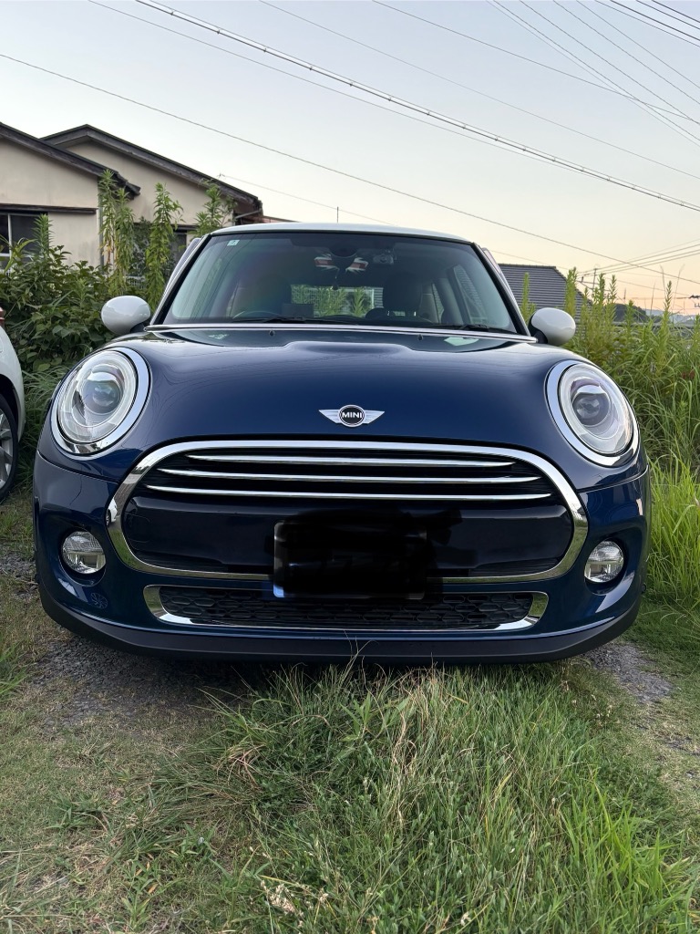 MINI 新品 ヘッドライト レンズ 左右 2個 MINI ミニ クーパー