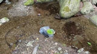 1件目のレビュー画像 | 1