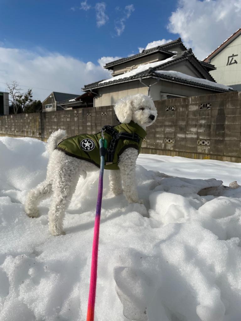 レビュー画像