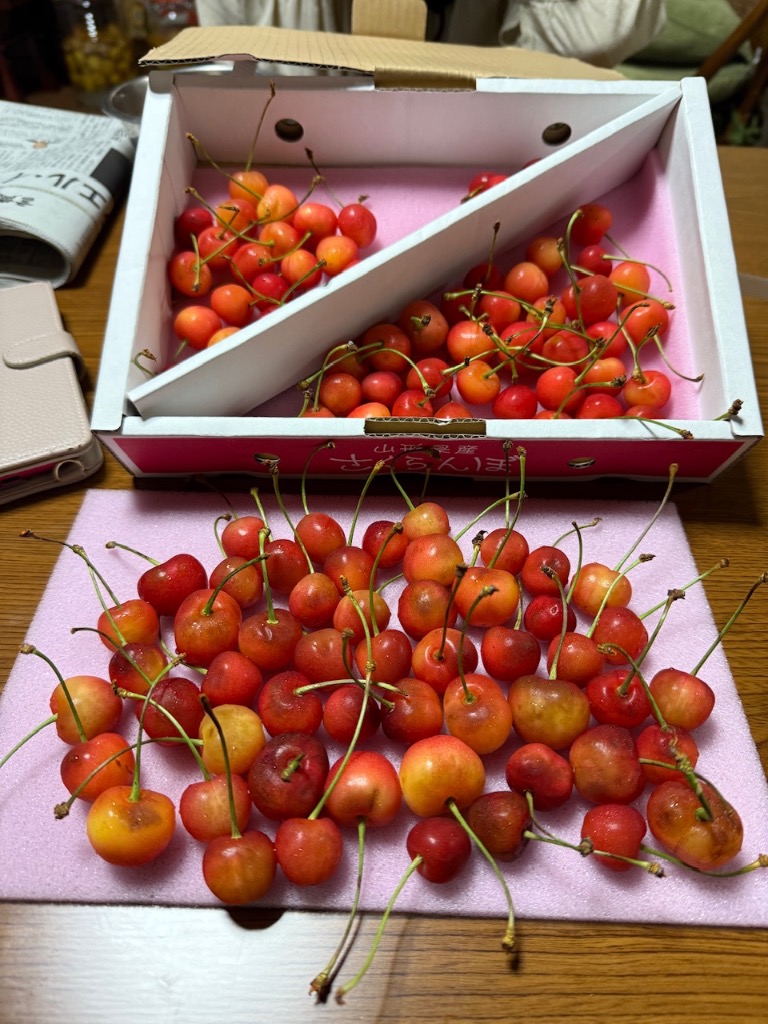 全体のレビュー画像 | 6-0