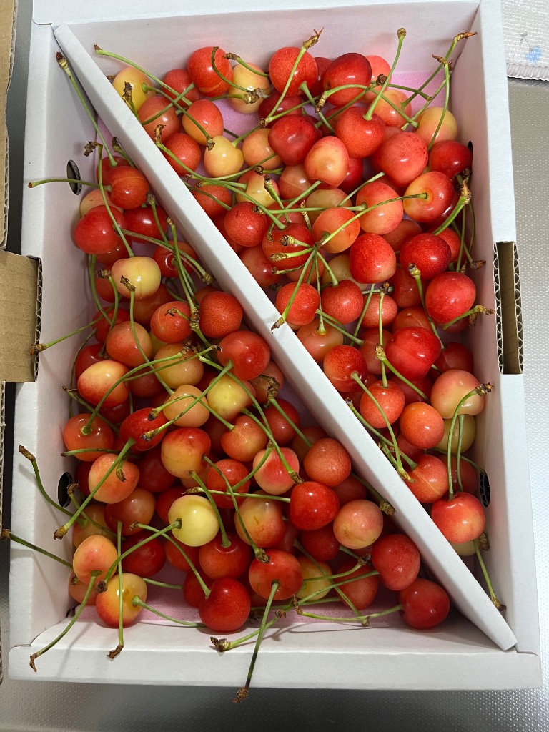 全体のレビュー画像 | 12-0