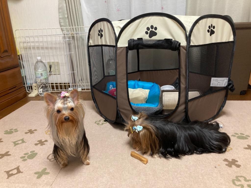 1件目のレビュー画像 | 0