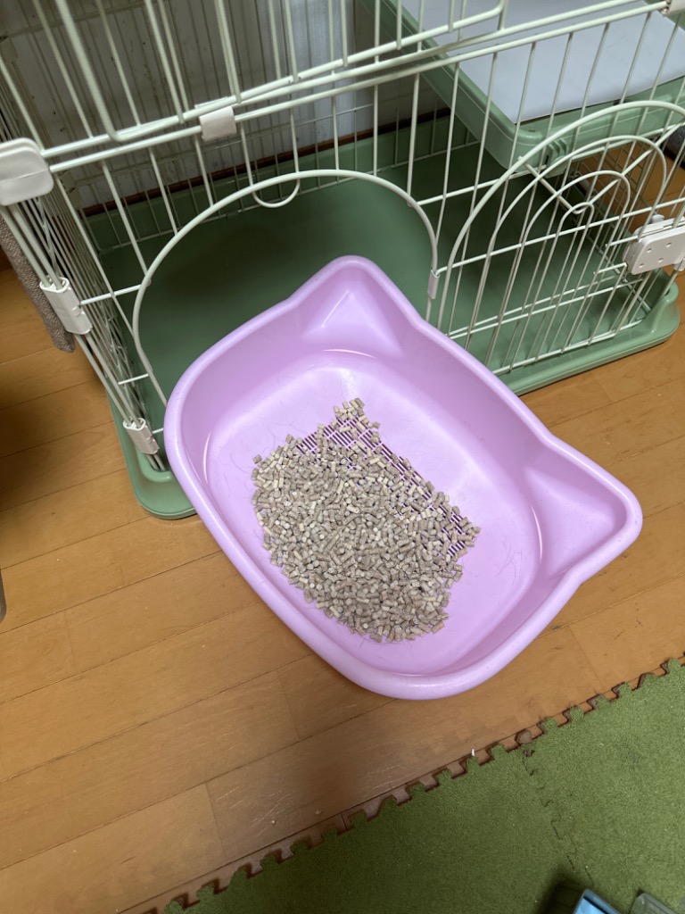 レビュー画像