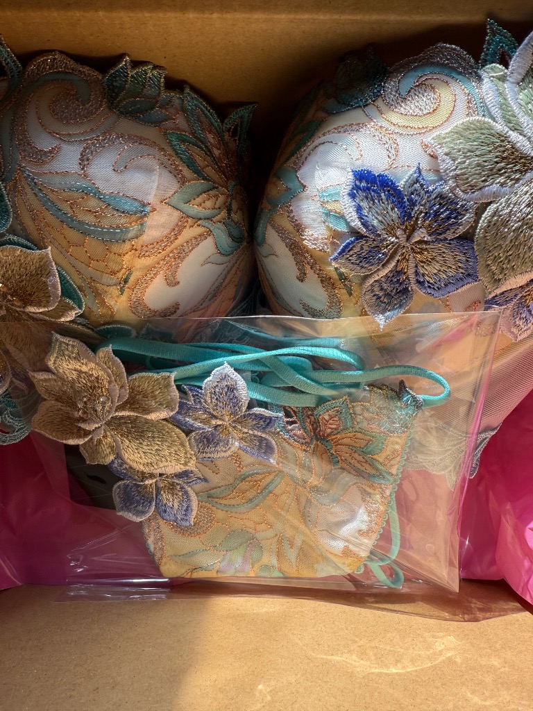 サルート（SALUTE） ワコール Tバックショーツ PTJ480 Wacoal salute