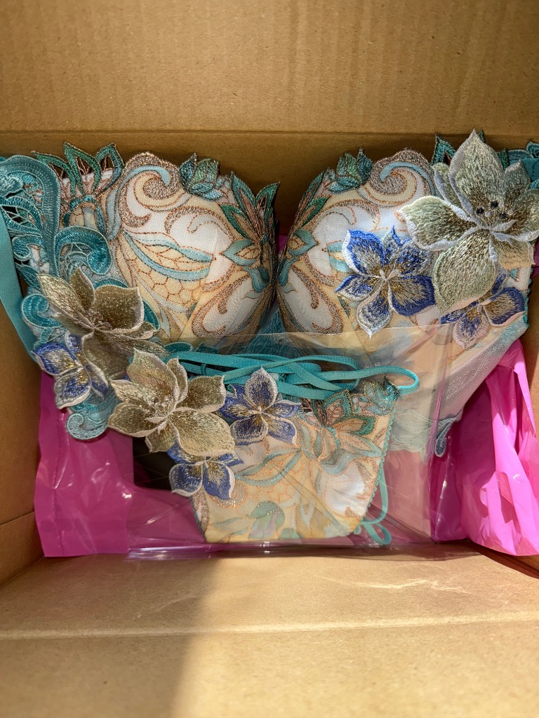 【入手困難】ワコール　サルート　店舗限定　ブラ、ショーツセット BTJ480｜ワコール サルート 80G ブラジャー単品 P-upタイプ