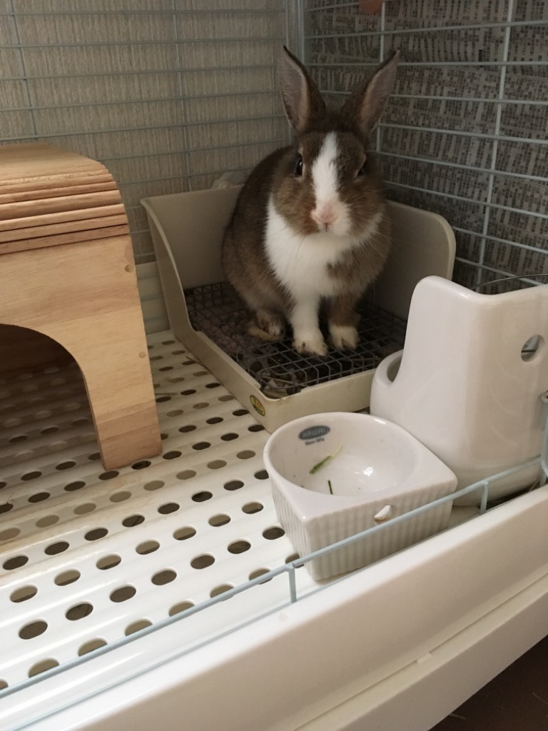 全体のレビュー画像 | 0-1