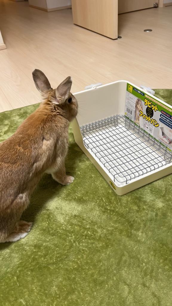 全体のレビュー画像 | 2-1