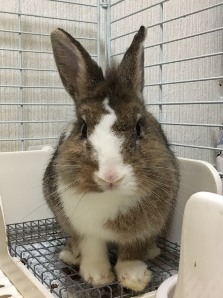 全体のレビュー画像 | 0-0