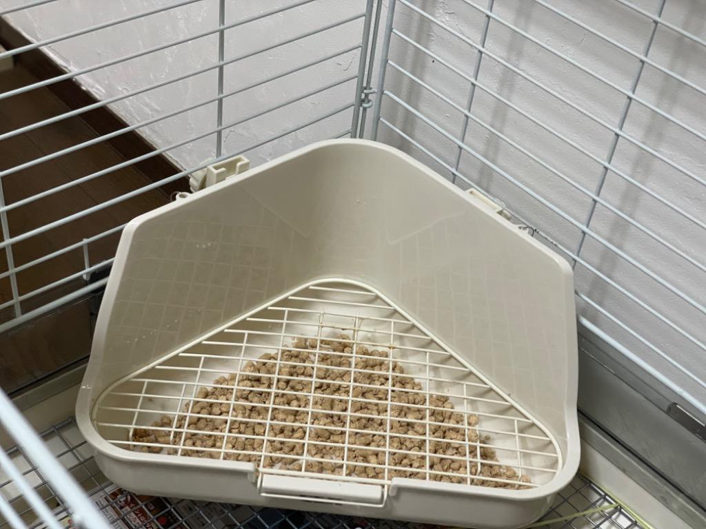 1件目のレビュー画像 | 0