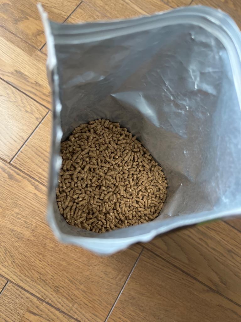 ハリネズミフード 1Kｇ ハリネズミ えさ エサ 餌 三晃商会 SANKO 送料無料 :B00JKBSJRG:うさぎグッズ専門店 愛らびっと - 通販  - Yahoo!ショッピング