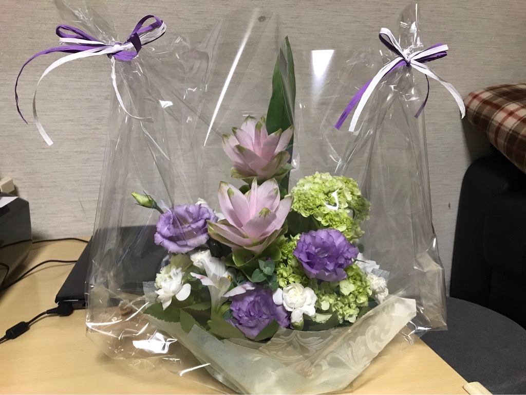 全体のレビュー画像 | 11-0