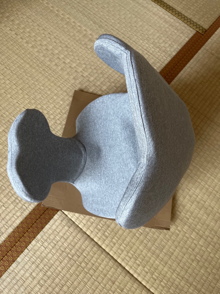 骨盤ケア ストレッチ 美姿勢 柔軟 運動 スタイルアップ 体幹 母