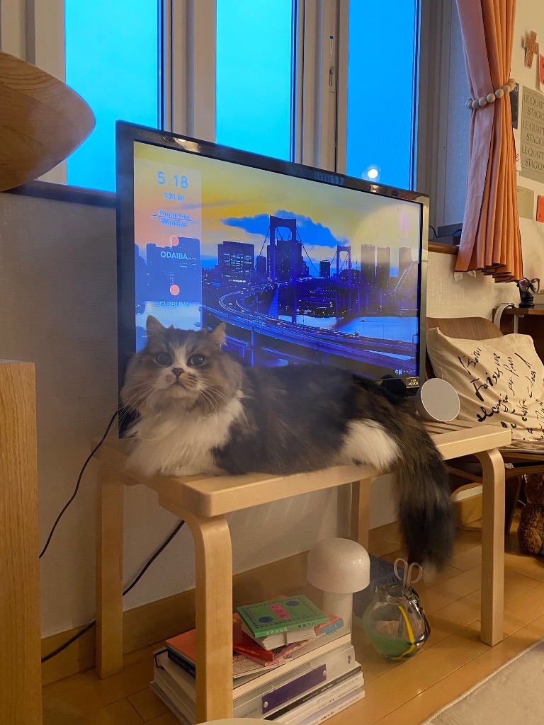 レビュー画像