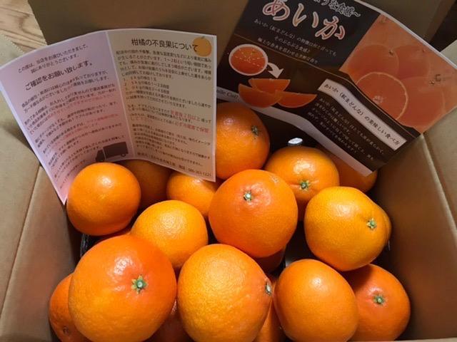 1211愛果 まどんな 訳あり 10kg (紅まどんな) まどんな 10kg」の人気商品一覧 | 安い商品を通販サイトから探す