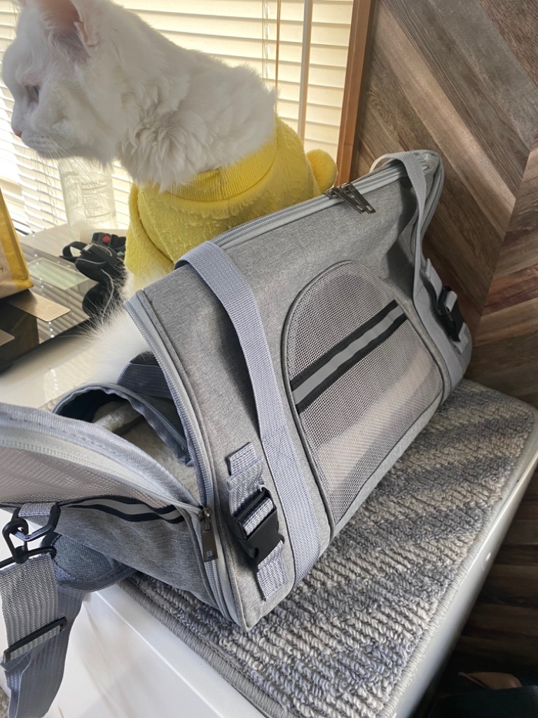 全店5％OFF／ペットキャリーバッグ 猫 犬 ネコ バック 3way