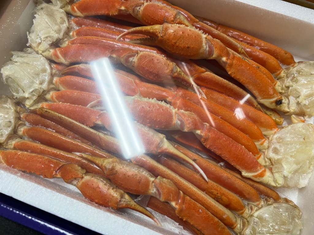 2件目のレビュー画像 | 1