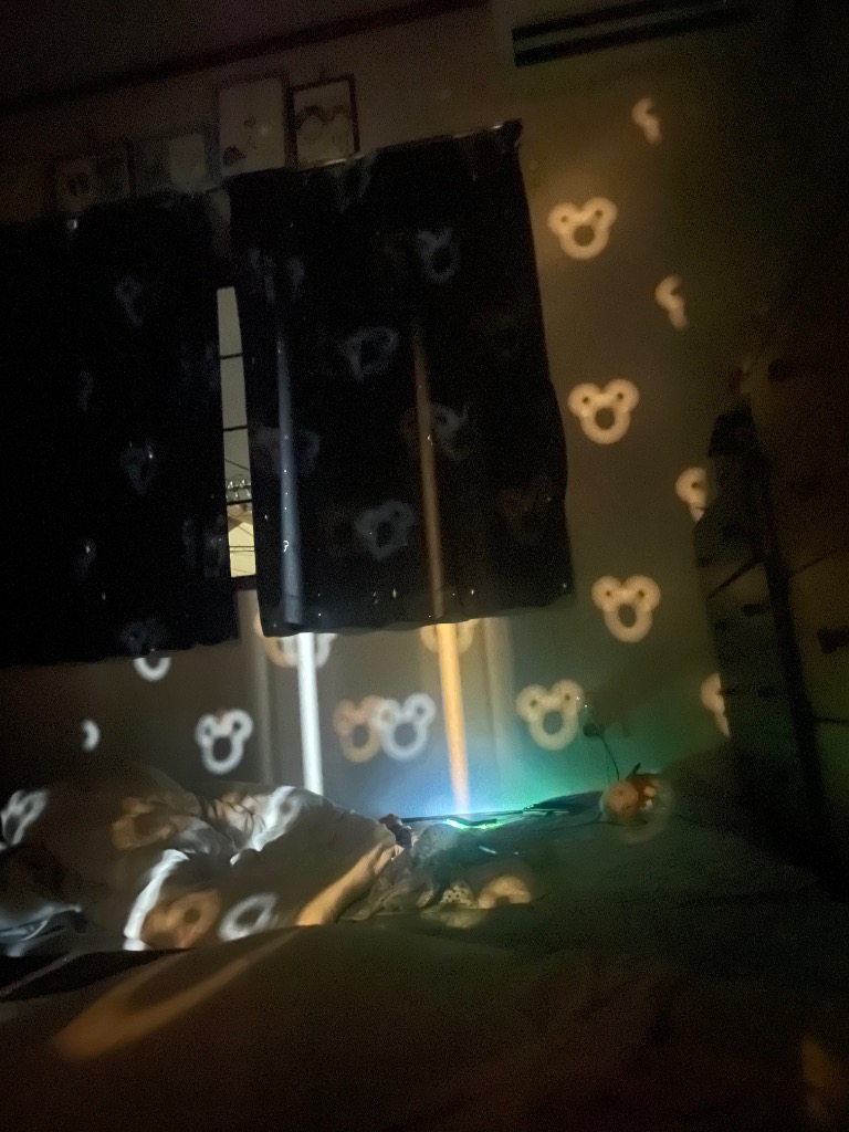 のれん 85×180cm ロング 暖簾 遮光 一級 二級 ミッキーマウス