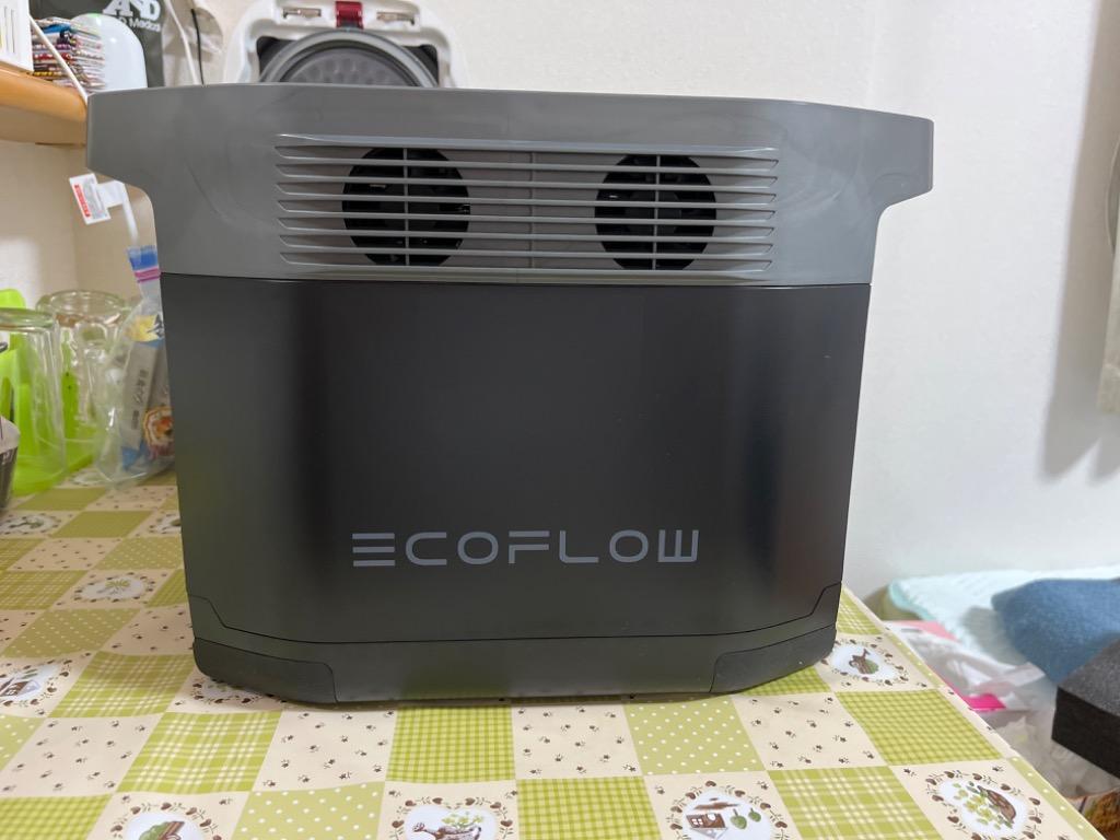 EcoFlow ポータブル電源 DELTA1000 大容量 1008Wh X‐Stream急速