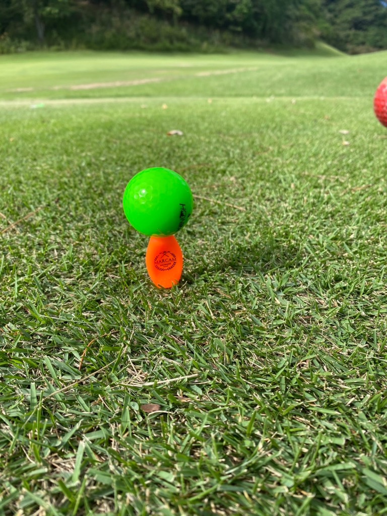 全体のレビュー画像 | 0-0