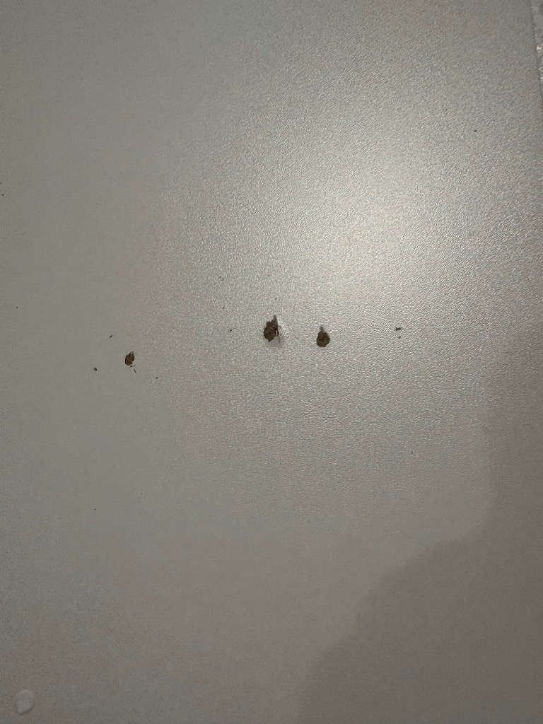 1件目のレビュー画像 | 0